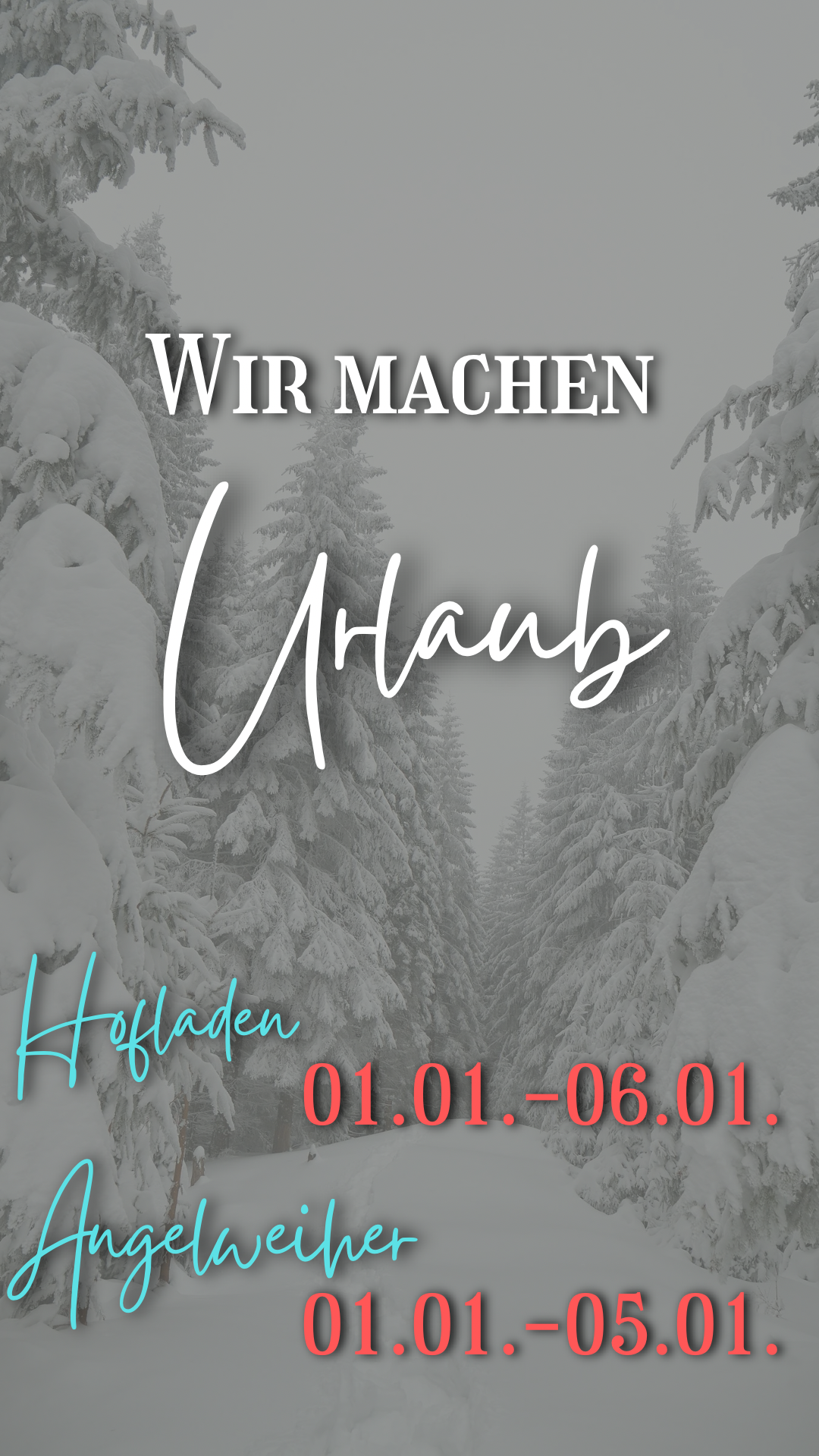 Grau Grün Elegant Minimalistisch Betriebsurlaub Winter Foto Instagram Story